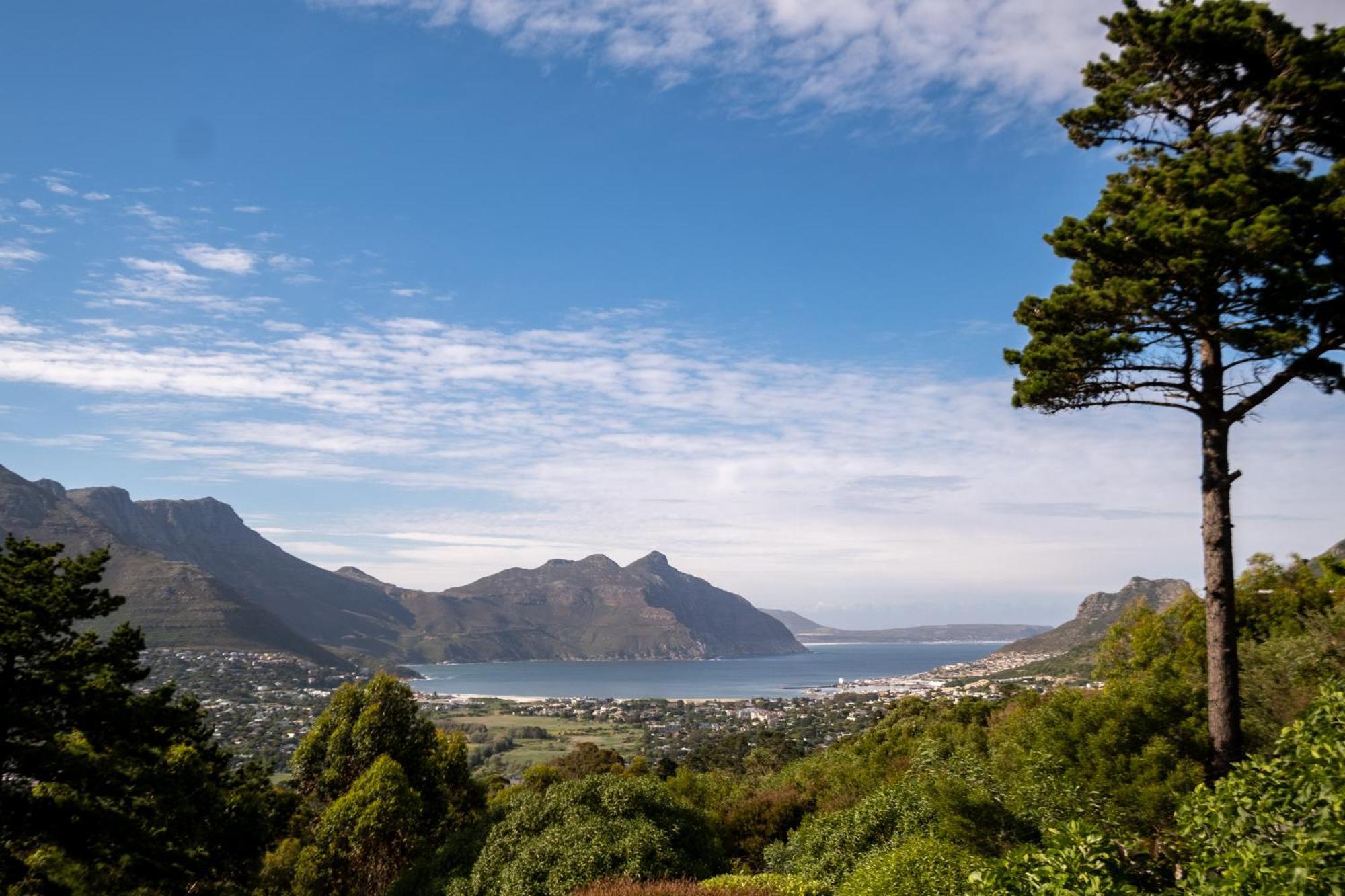 Dreamhouse Guest House Hout Bay Eksteriør bilde
